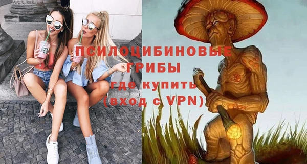 шишки Киреевск
