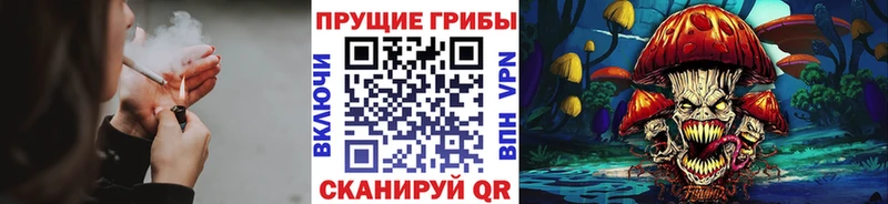 Псилоцибиновые грибы ЛСД  Купить где  Борзя 